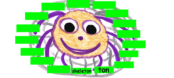 Spencer spins skeleton!